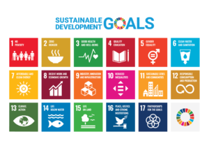 NPEX & UN SDG Tegels. Klik voor meer info