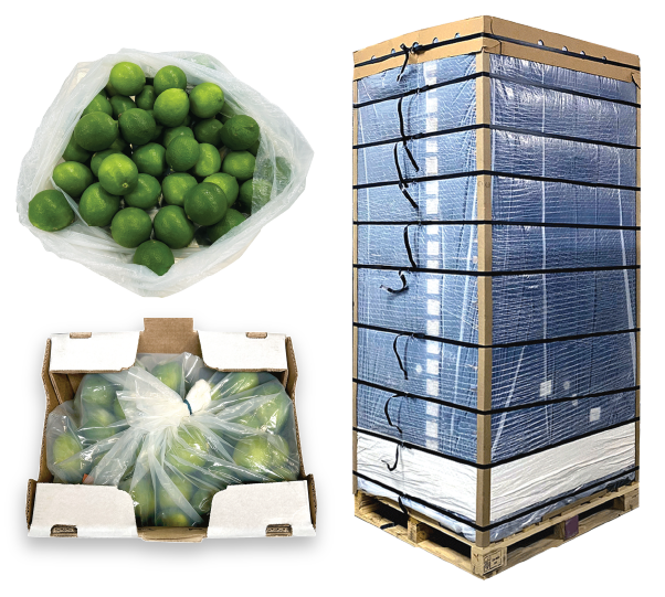 13 – PerfoTec Liner& Pallet Cover image