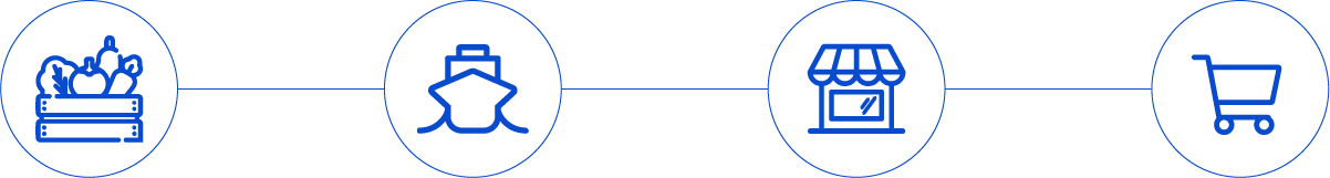 6 – PerfoTec – supply chain